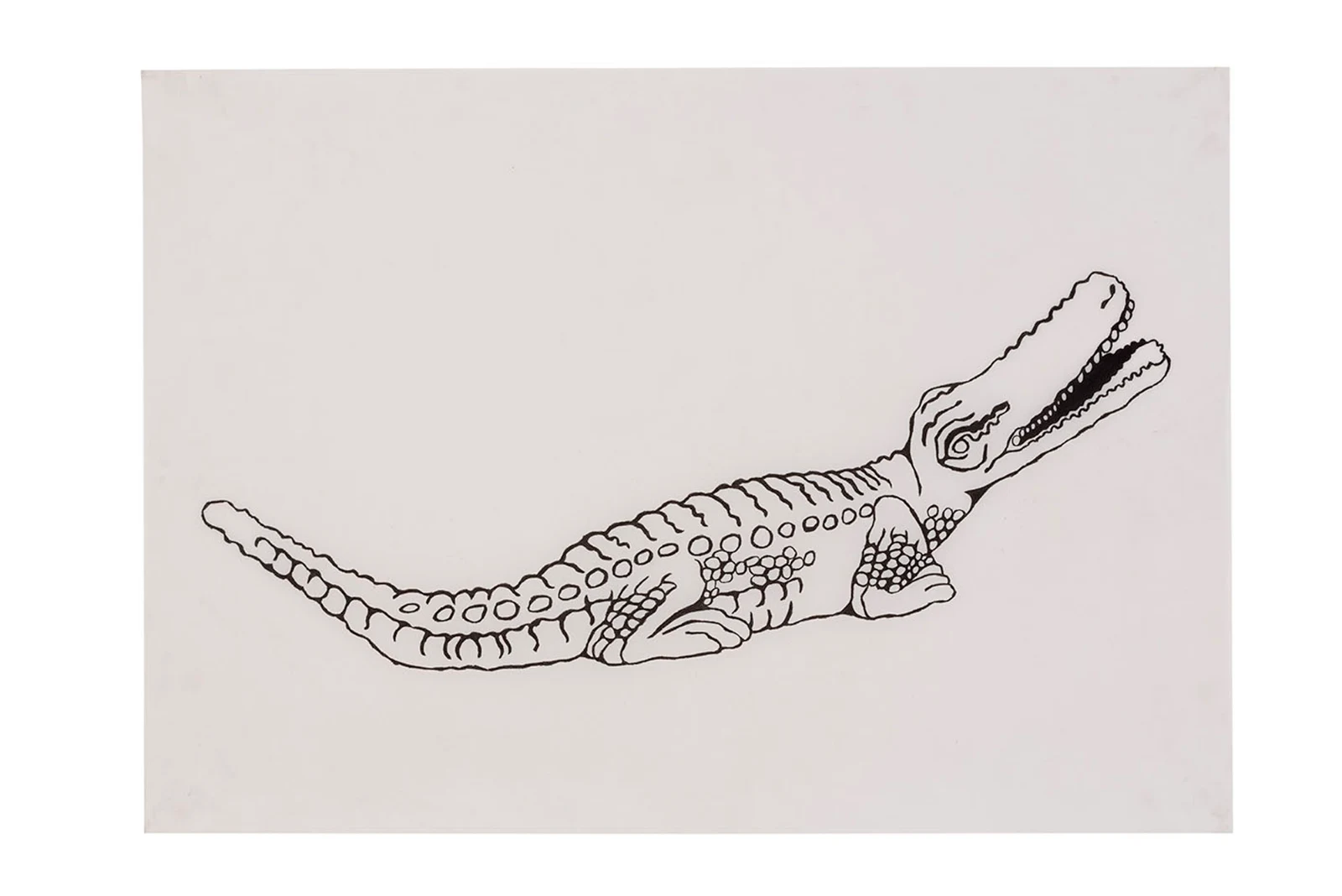 Selva Doméstica (Animais), 2014 — Daniel Acosta