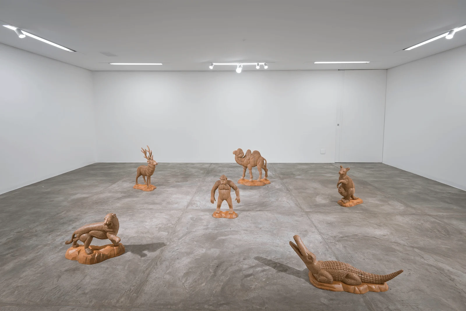 Animais Lentos, 2014 — Daniel Acosta