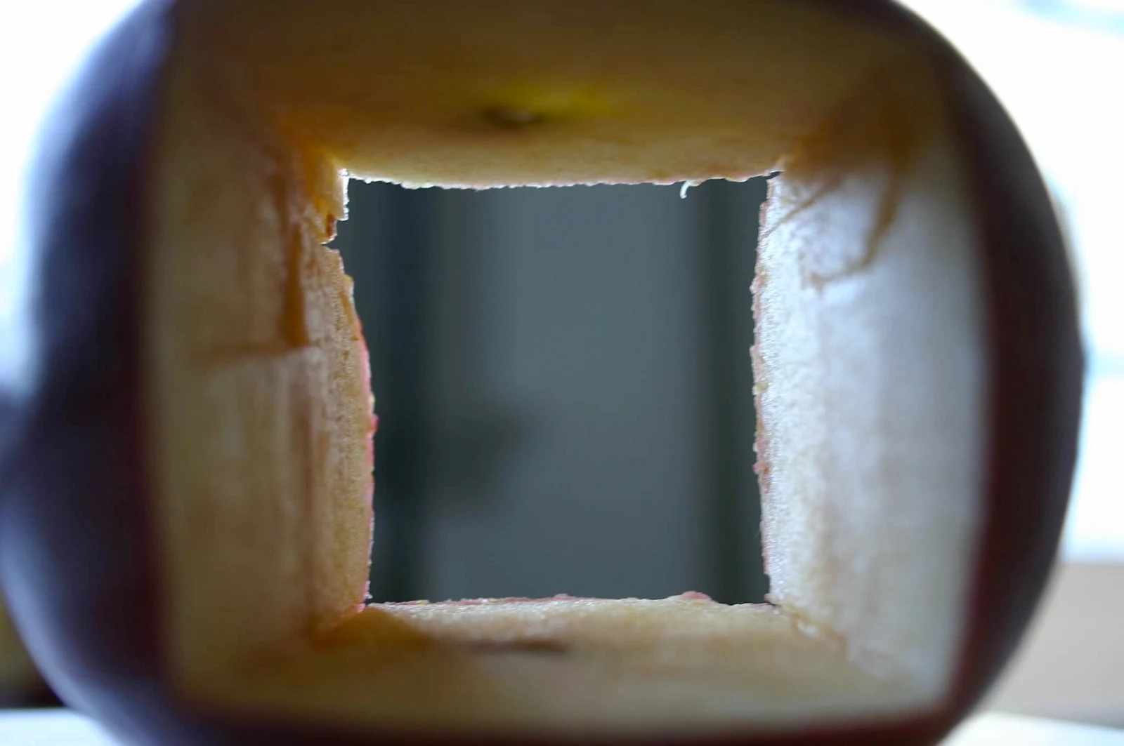 Appletecture, 2005 — Daniel Acosta
