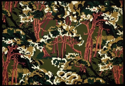As novas cores da paisagem brasileira (camuflagem)