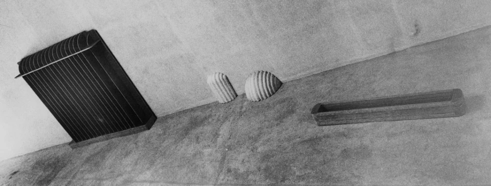 Projeto  Macunaíma, 1992 — Daniel Acosta (imagem 5)