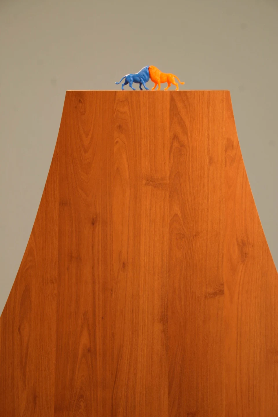 Mono1mento ao Grande Topological, 2006 — Daniel Acosta (imagem 8)