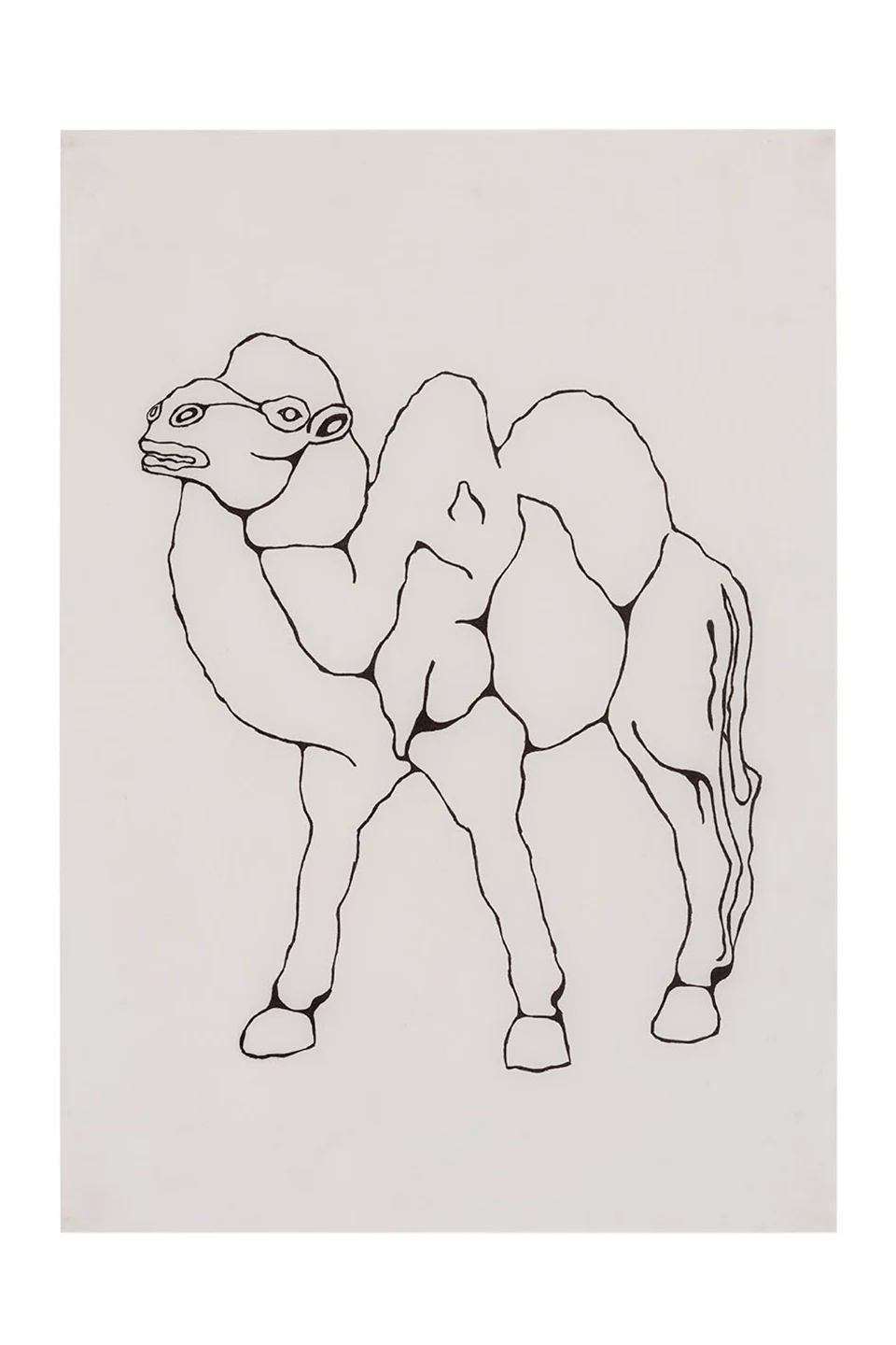 Selva Doméstica (Animais), 2014 — Daniel Acosta (imagem 3)