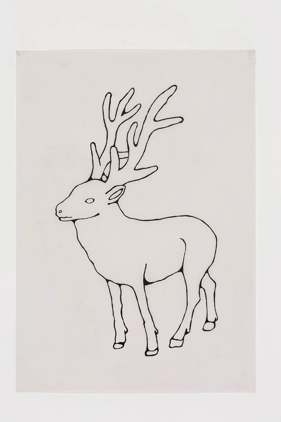 Selva Doméstica (Animais), 2014 — Daniel Acosta (imagem 6)