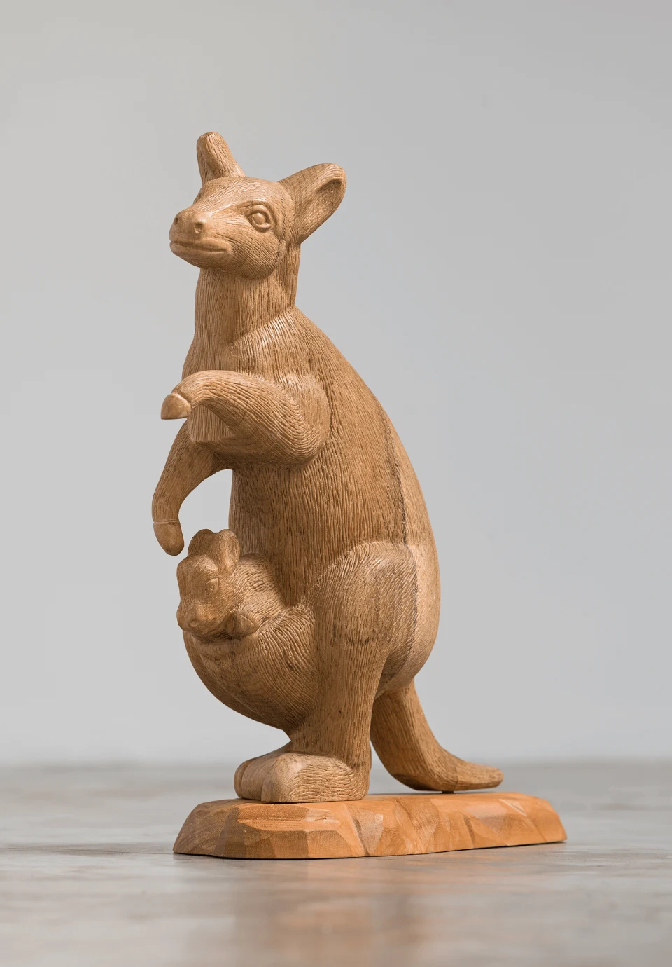 Animais Lentos, 2014 — Daniel Acosta (imagem 6)