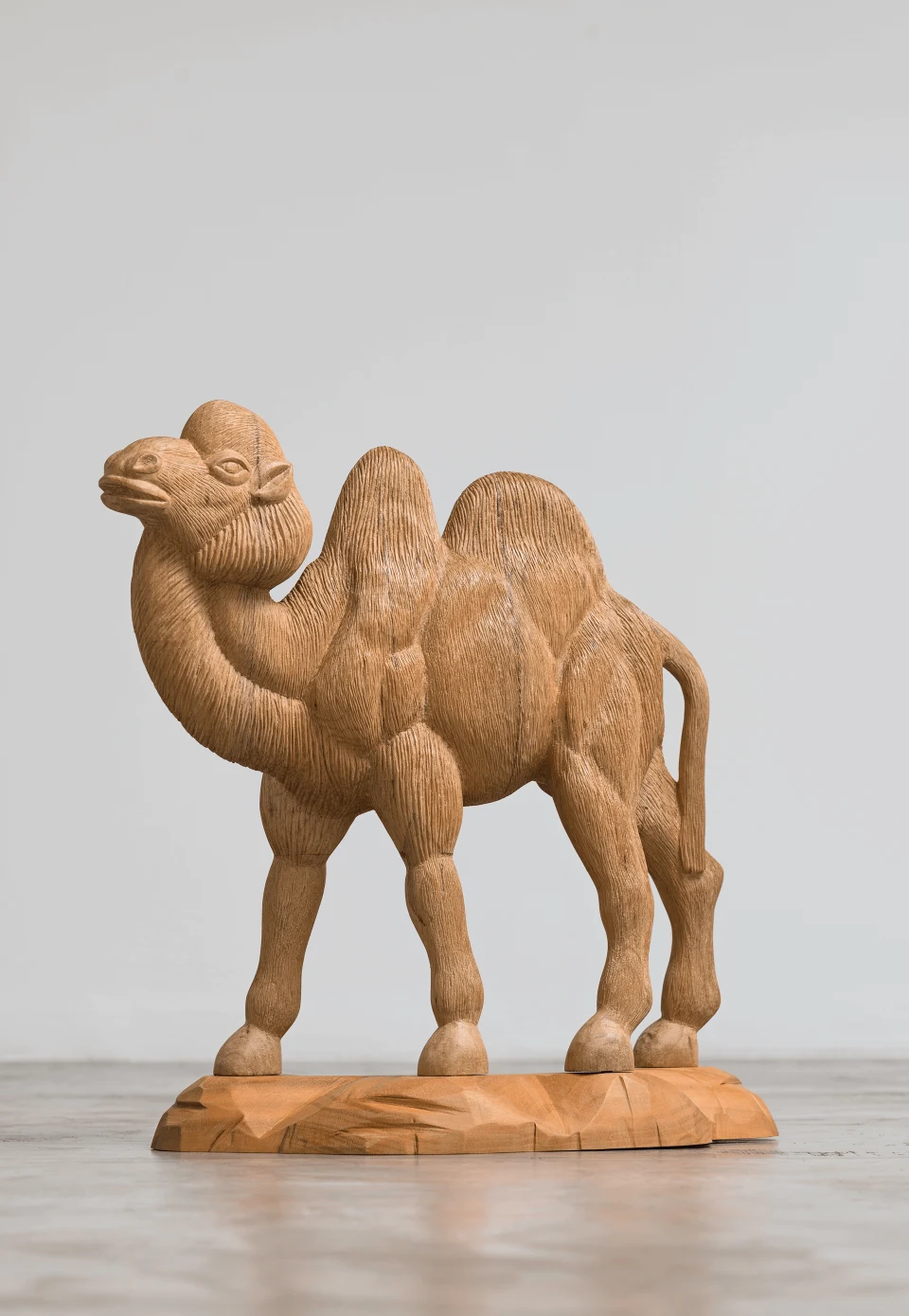 Animais Lentos, 2014 — Daniel Acosta (imagem 5)