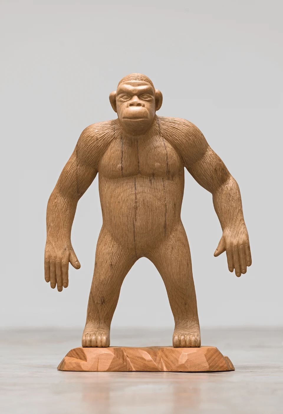 Animais Lentos, 2014 — Daniel Acosta (imagem 3)