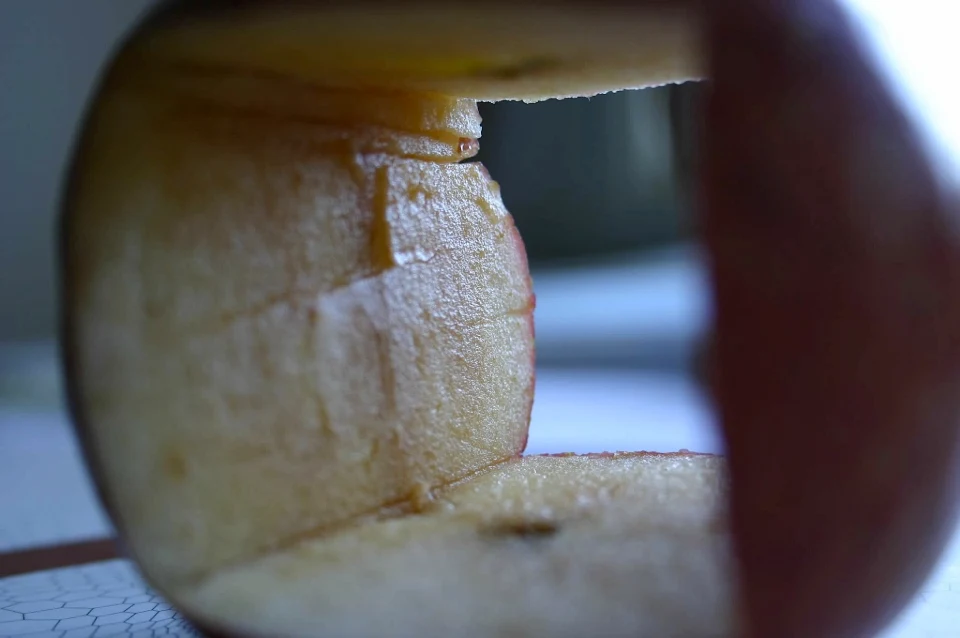 Appletecture, 2005 — Daniel Acosta (imagem 2)