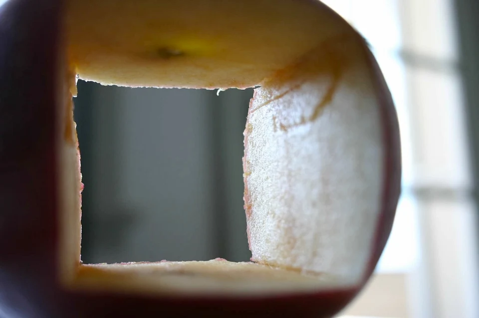 Appletecture, 2005 — Daniel Acosta (imagem 1)