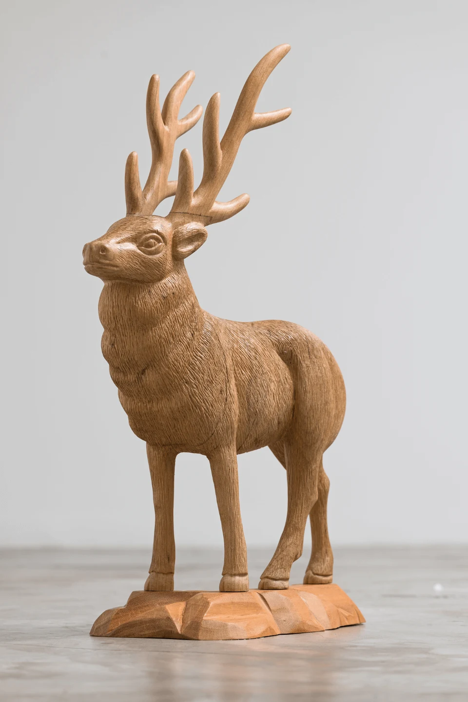 Animais Lentos, 2014 — Daniel Acosta (imagem 1)