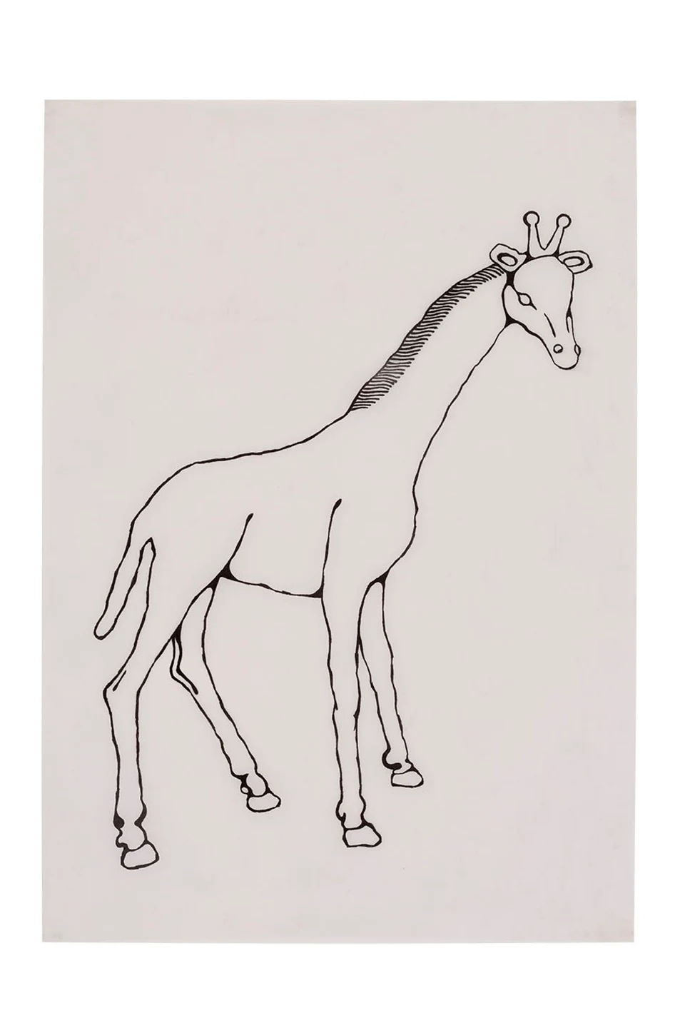 Selva Doméstica (Animais), 2014 — Daniel Acosta (imagem 1)